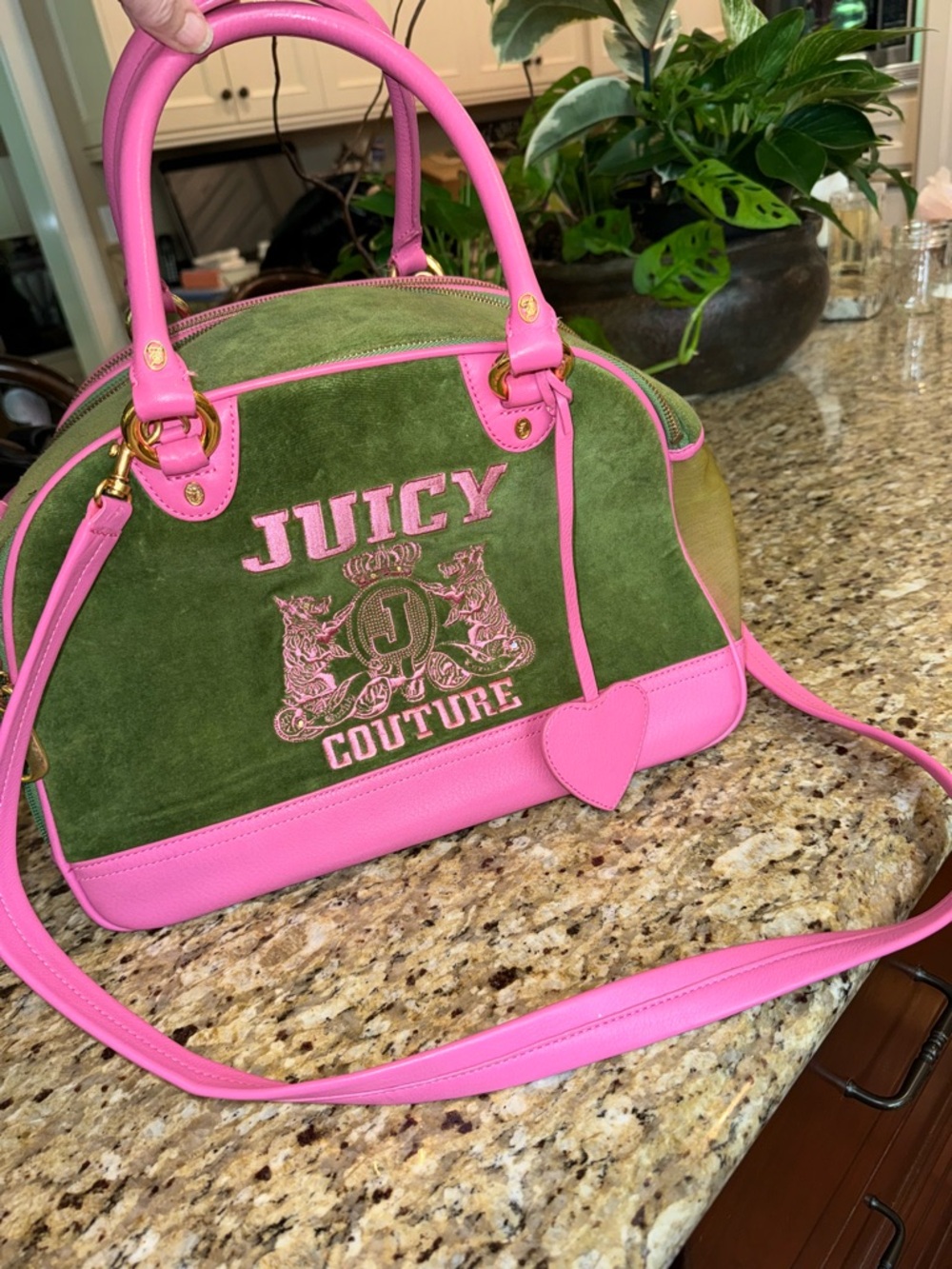 Juicy Couture Green and Pink with Leather Trim pet carrier